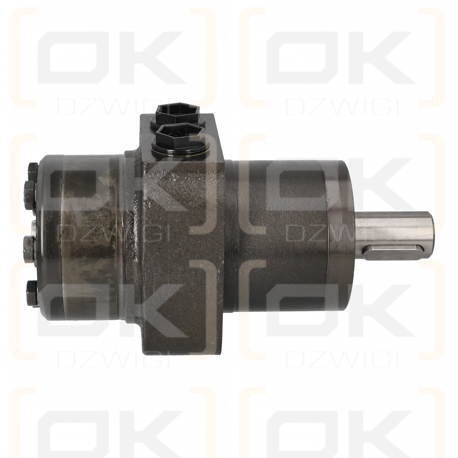 Гидравлический двигатель M+S MPW 200 CD